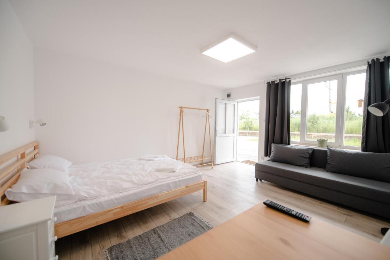 Pixel Guesthouse Tîrgu Secuiesc エクステリア 写真