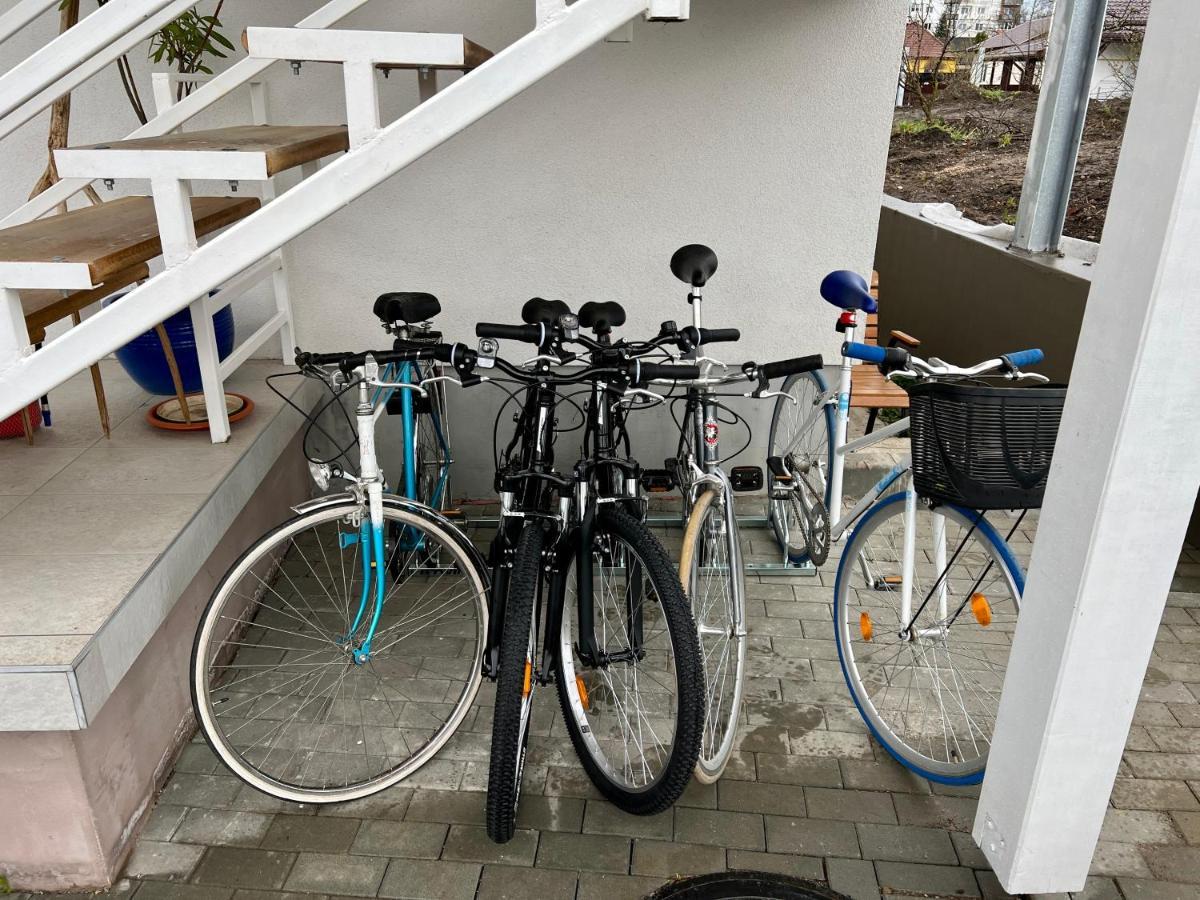 Pixel Guesthouse Tîrgu Secuiesc エクステリア 写真